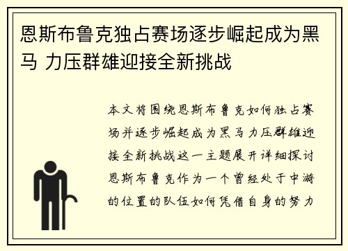 恩斯布鲁克独占赛场逐步崛起成为黑马 力压群雄迎接全新挑战