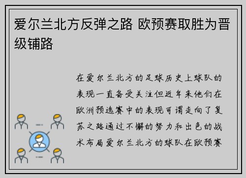 爱尔兰北方反弹之路 欧预赛取胜为晋级铺路
