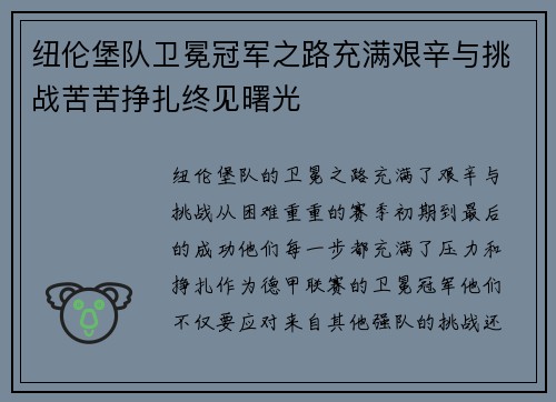 纽伦堡队卫冕冠军之路充满艰辛与挑战苦苦挣扎终见曙光
