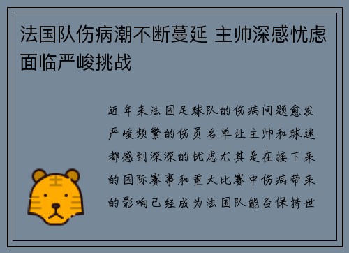 法国队伤病潮不断蔓延 主帅深感忧虑面临严峻挑战